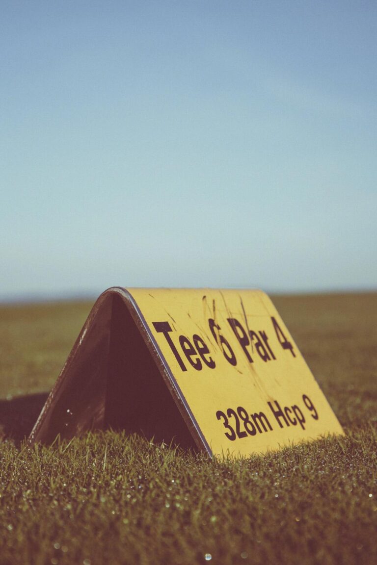 golf-courses-the-brassie