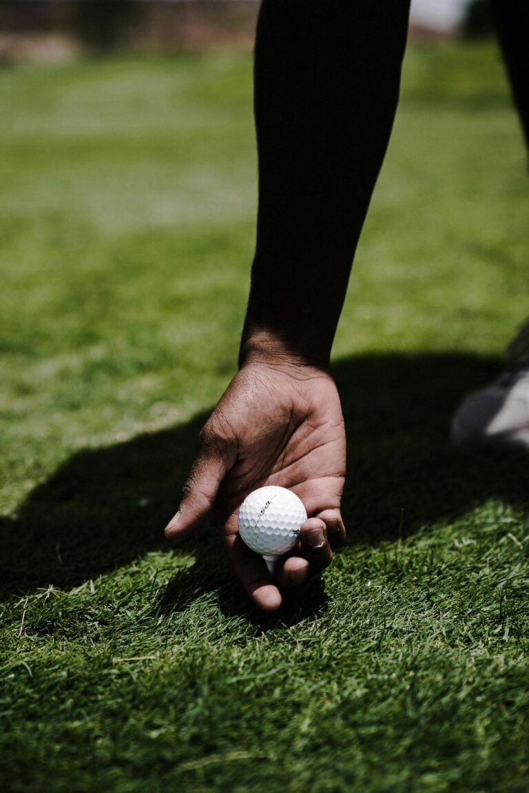 Golf courses the brassie